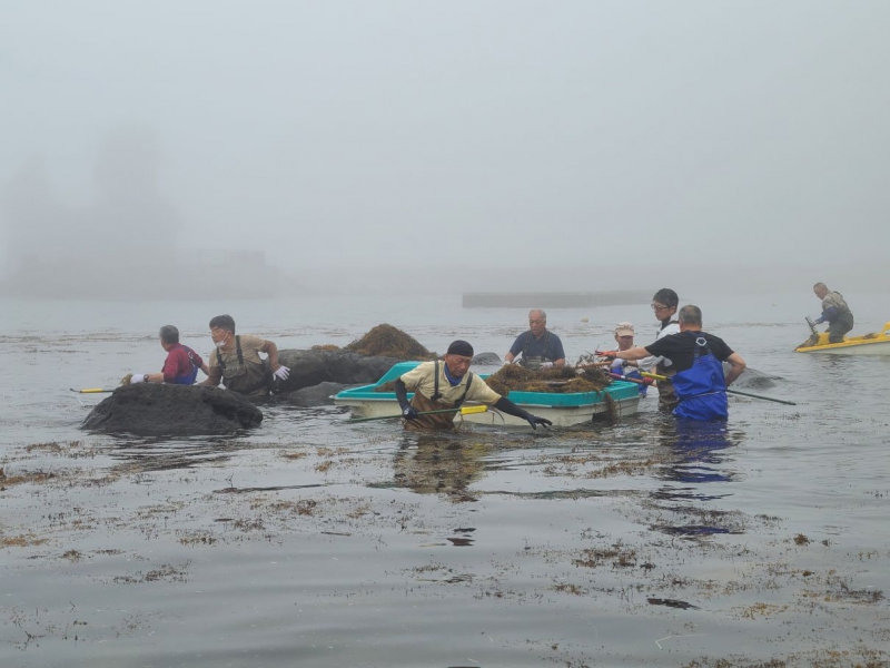 元和台海浜公園清掃活動