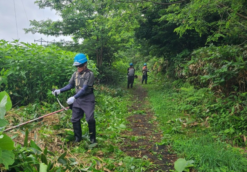 町内避難路及び町道の伐開ボランティア